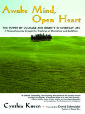 cover image of Awake Mind, Open Heart